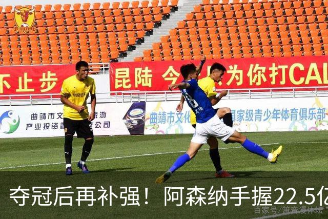 夺冠后再补强！阿森纳手握22.5亿元预算，全力抢罗杰斯与伊尔迪兹